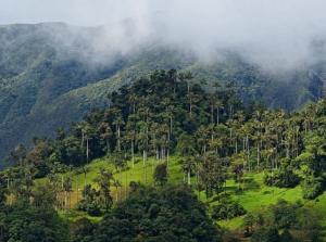 Parque Nacional Cutervo